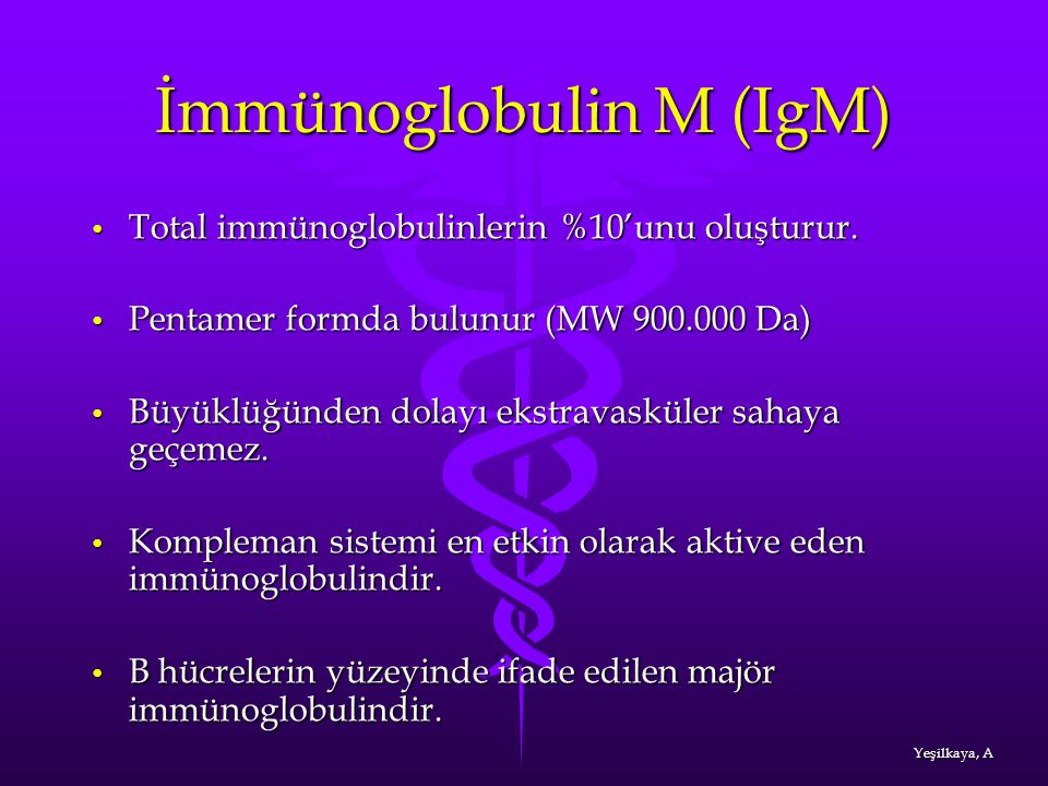 İmmünoglobulin M (IgM)