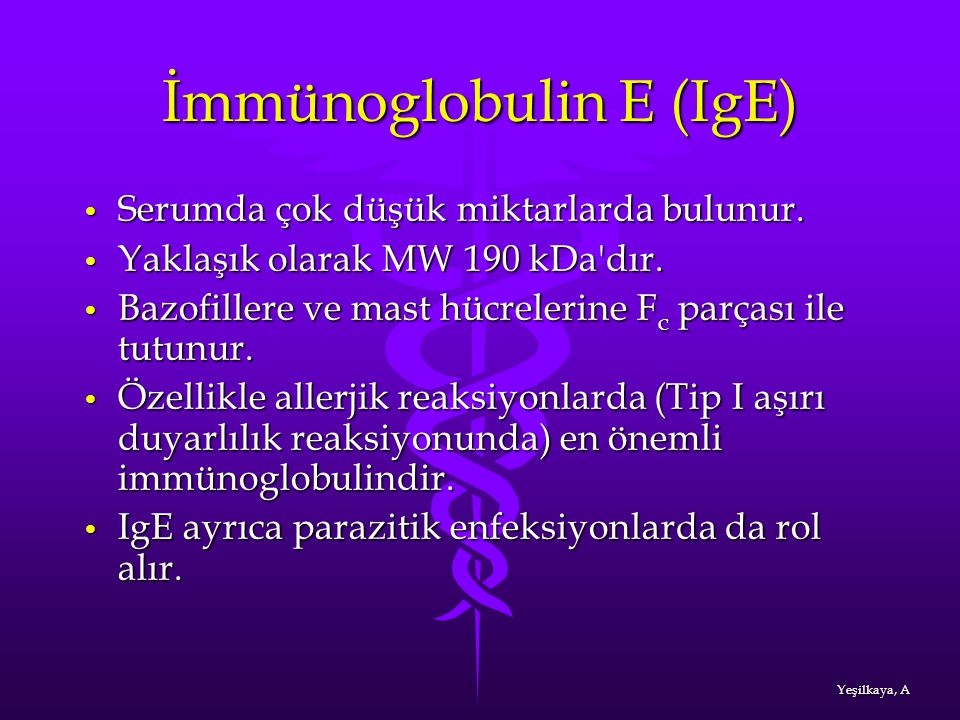 İmmünoglobulin E (IgE)