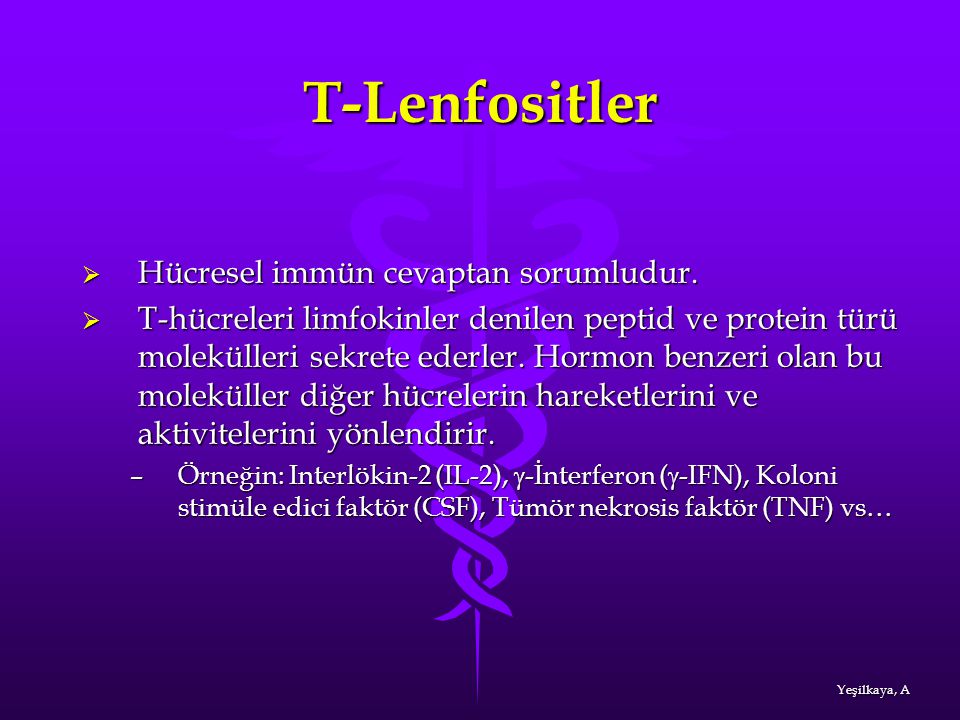 T-Lenfositler Hücresel immün cevaptan sorumludur.