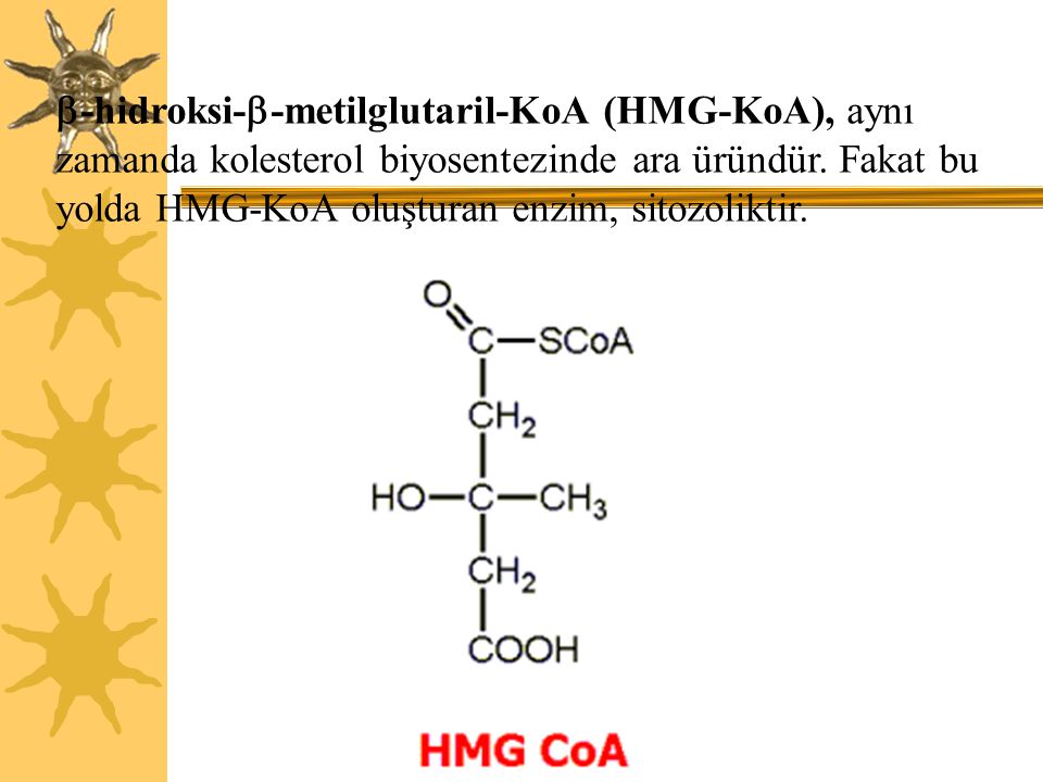 -hidroksi--metilglutaril-KoA (HMG-KoA), aynı zamanda kolesterol biyosentezinde ara üründür.