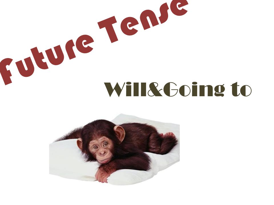 Future Tense Will&Going to
