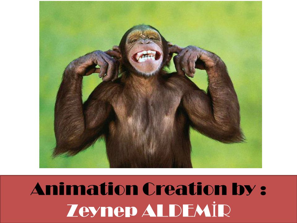 Animation Creation by : Zeynep ALDEMİR