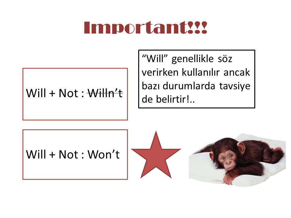Important!!! Will + Not : Willn’t Will + Not : Won’t