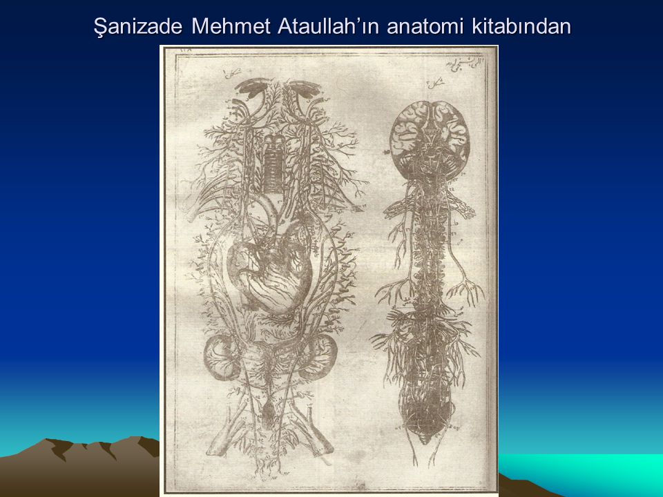 Şanizade Mehmet Ataullah’ın anatomi kitabından