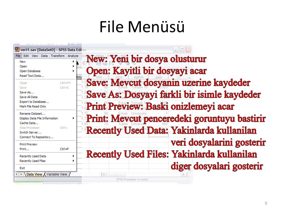 SPSS Dosya Türleri - 1 Veri (Data) dosyası (.sav): Üzerinde işlem yapılacak verileri içerir.