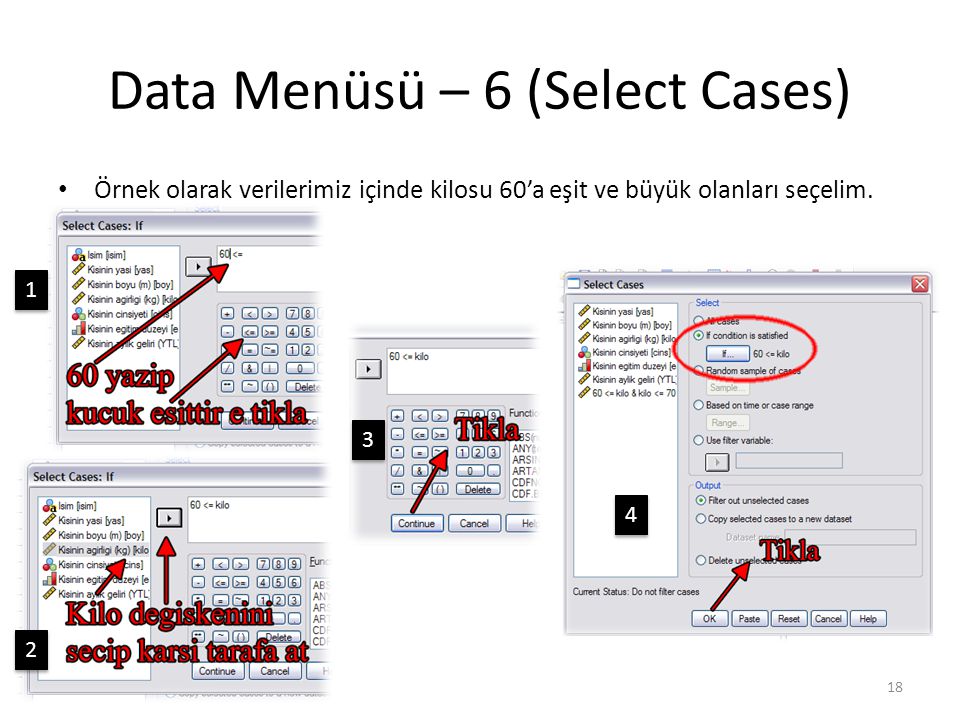 Data Menüsü – 7 (Select Cases)