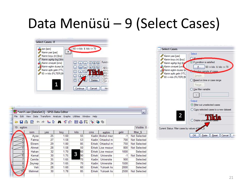 Data Menüsü – 10 (Select Cases)