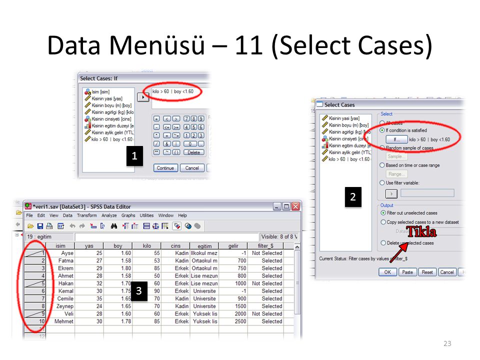 Data Menüsü – 12 (Select Cases)