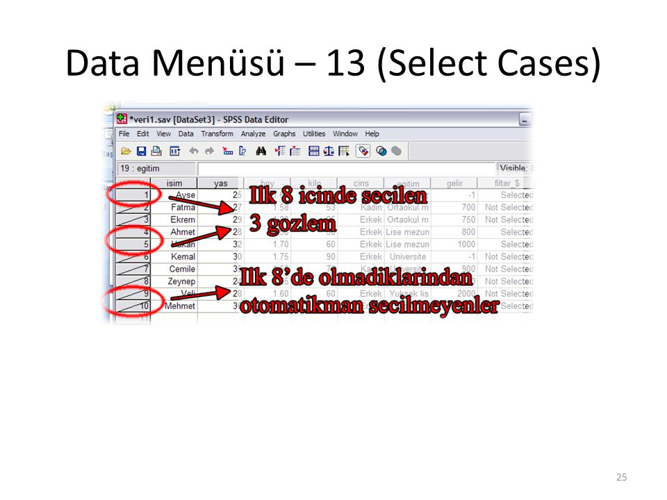 Data Menüsü – 14 (Select Cases)