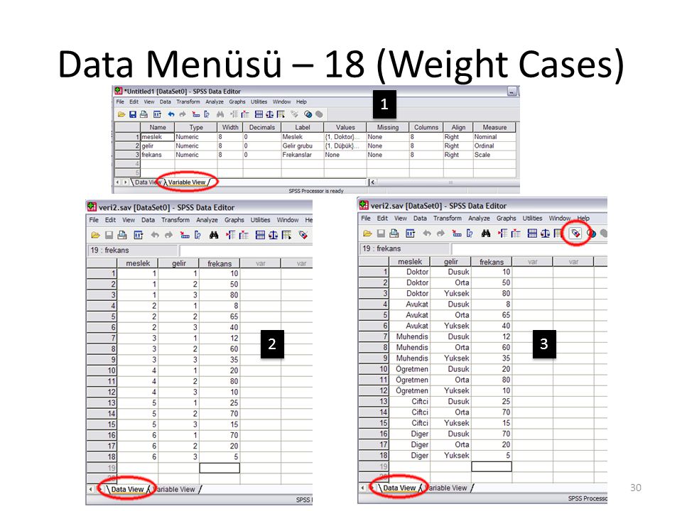 Data Menüsü – 19 (Weight Cases)