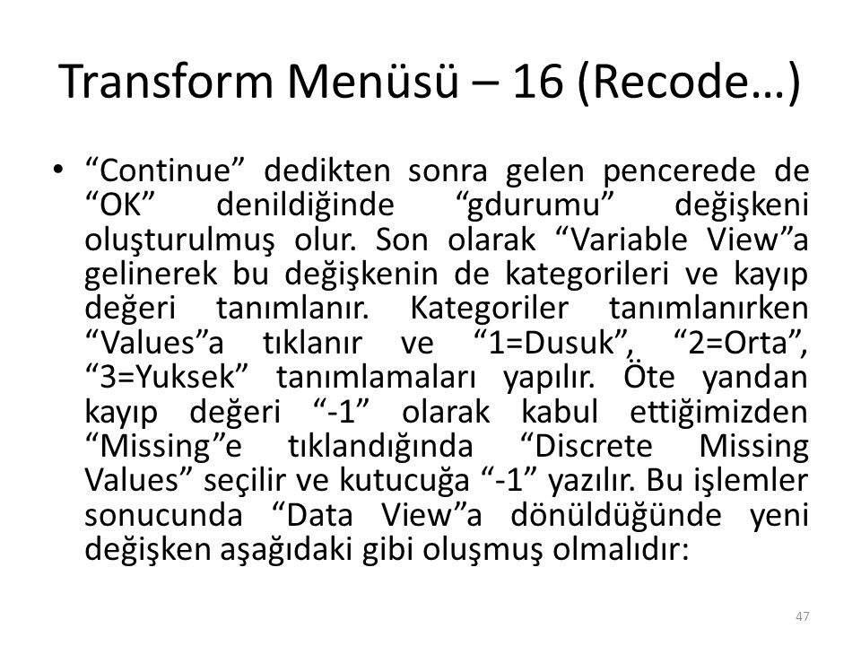 Transform Menüsü – 17 (Recode…)