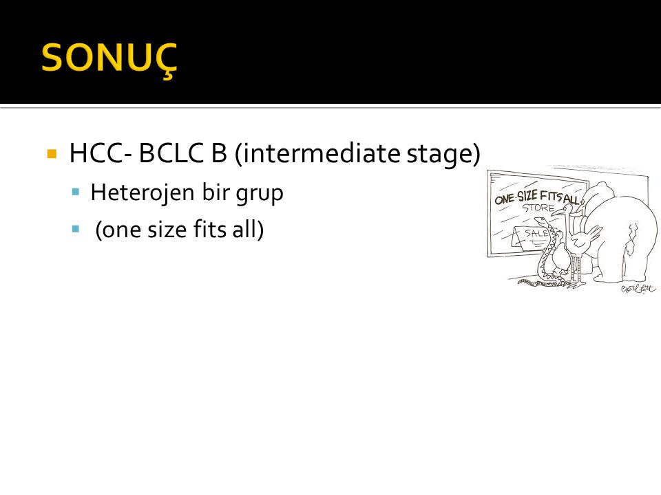 SONUÇ HCC- BCLC B (intermediate stage) Heterojen bir grup