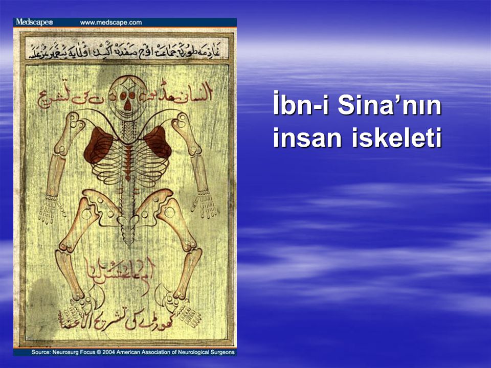 İbn-i Sina’nın insan iskeleti