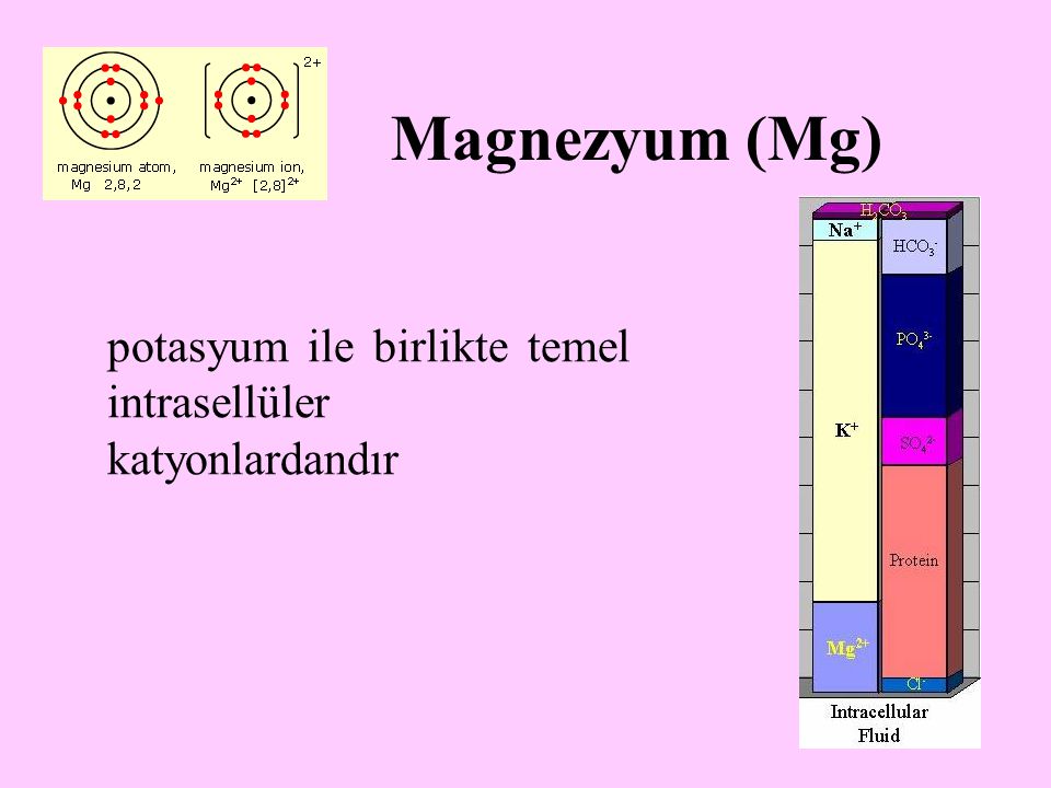 Magnezyum (Mg) potasyum ile birlikte temel intrasellüler katyonlardandır