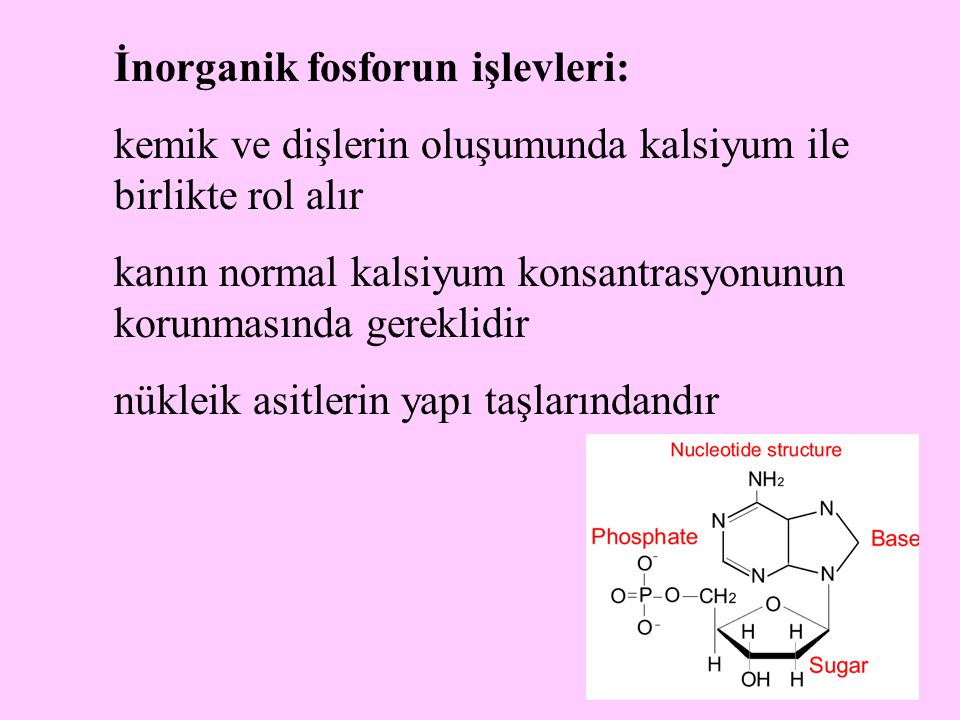 İnorganik fosforun işlevleri: