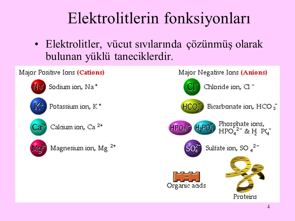 Elektrolitlerin fonksiyonları