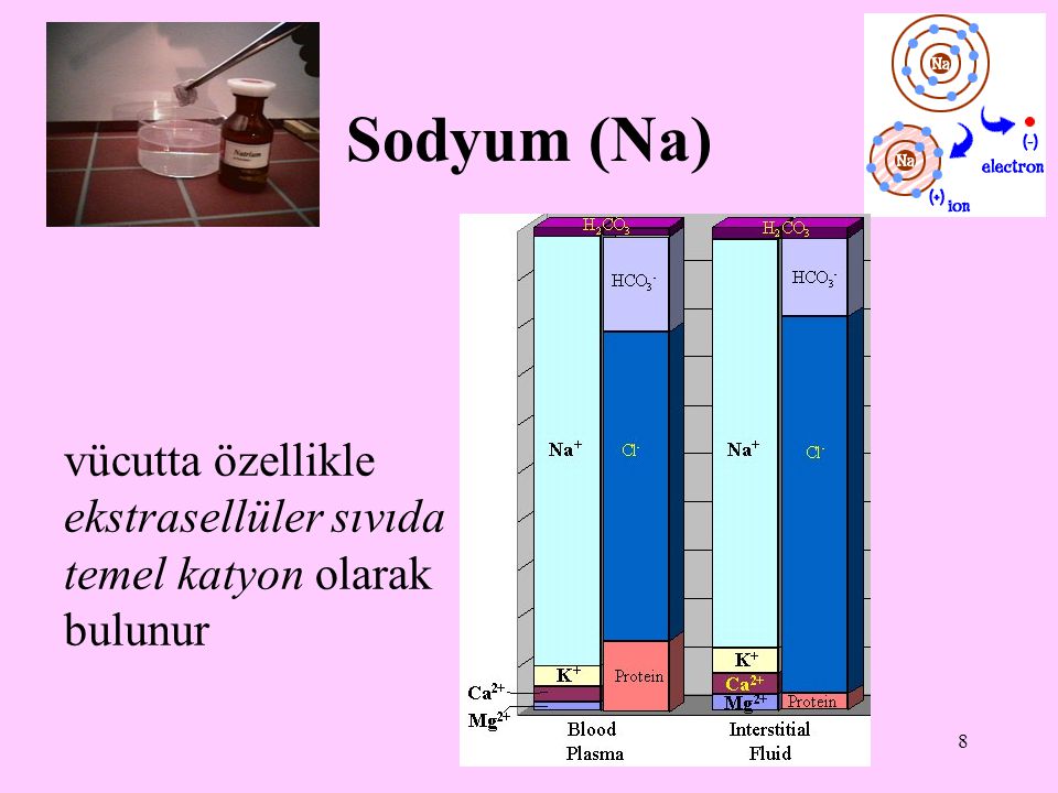 Sodyum (Na) vücutta özellikle ekstrasellüler sıvıda temel katyon olarak bulunur