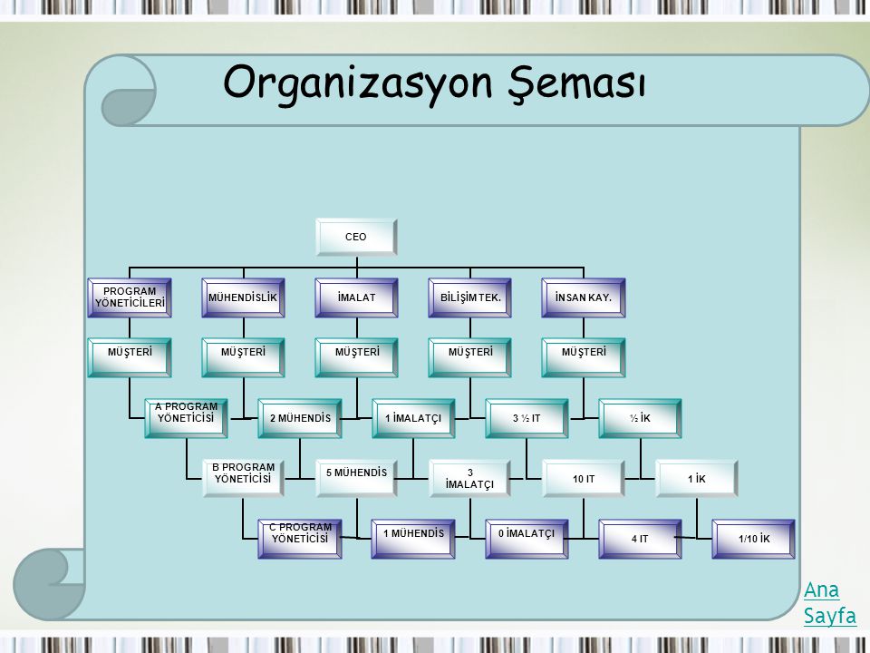 Organizasyon Şeması Ana Sayfa