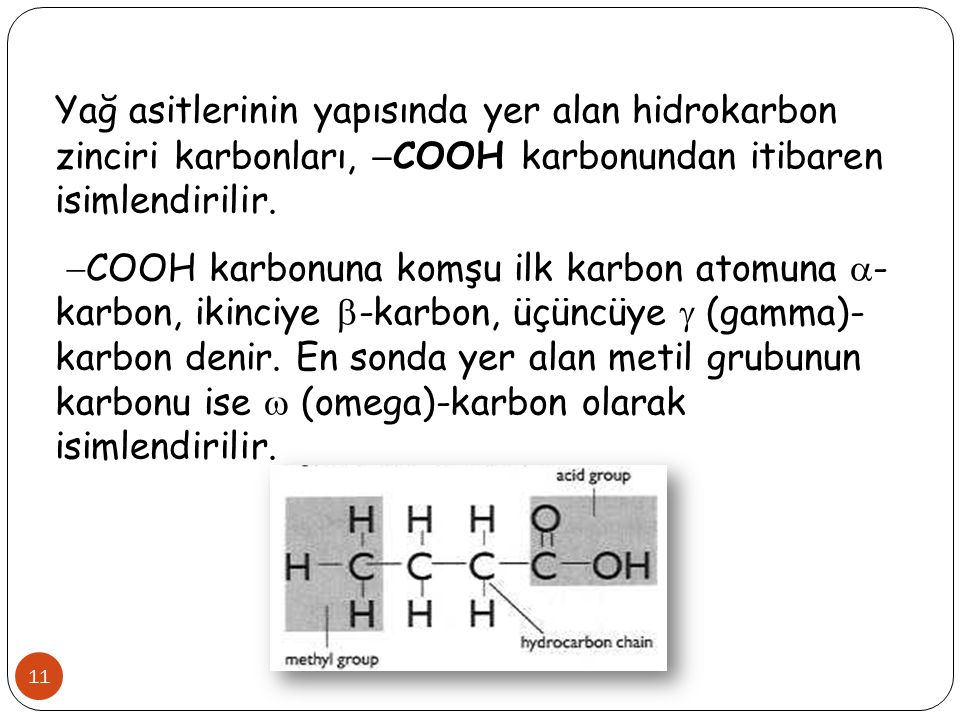 Yağ asitlerinin yapısında yer alan hidrokarbon zinciri karbonları, COOH karbonundan itibaren isimlendirilir.