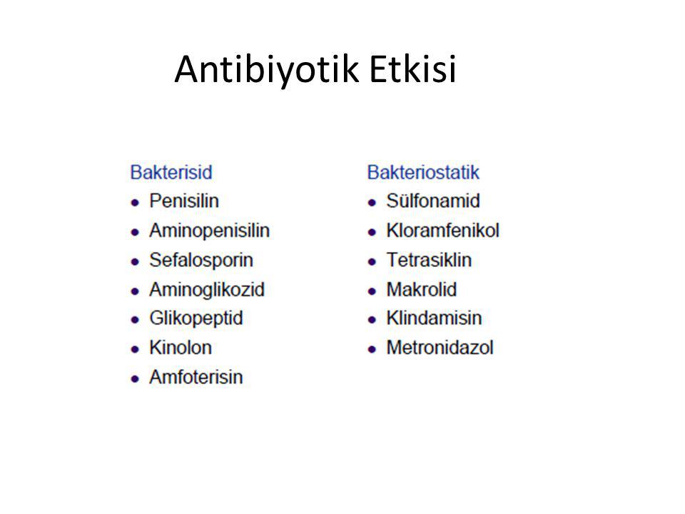 Antibiyotik Etkisi