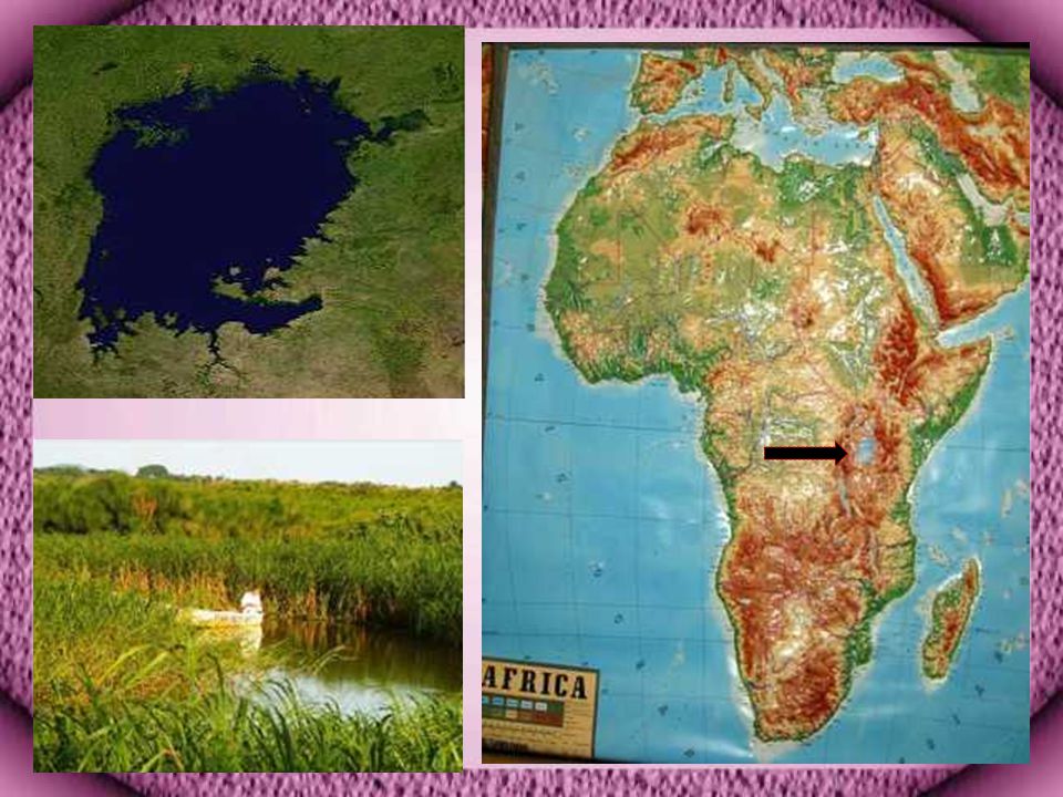 Viktorya Gölü Afrika nın doğusunda Tanzanya, Uganda ve Kenya topraklarında bulunan Dünya nın en büyük ikinci tatlı su gölüdür.