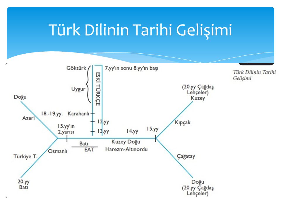 Türk Dilinin Tarihi Gelişimi
