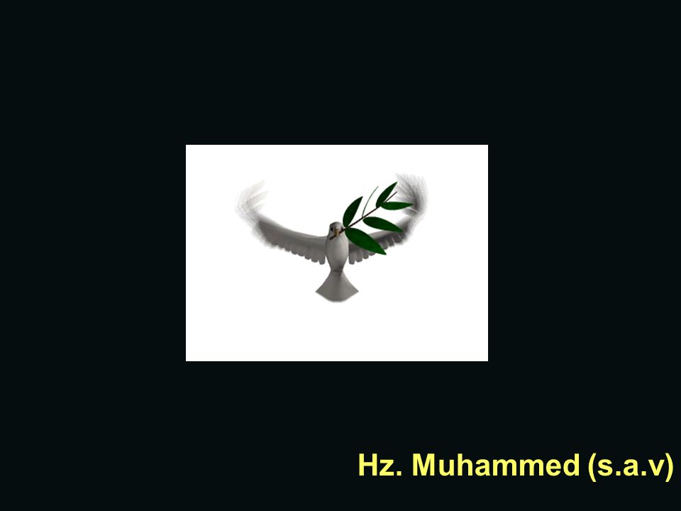 Hz. Muhammed (s.a.v)