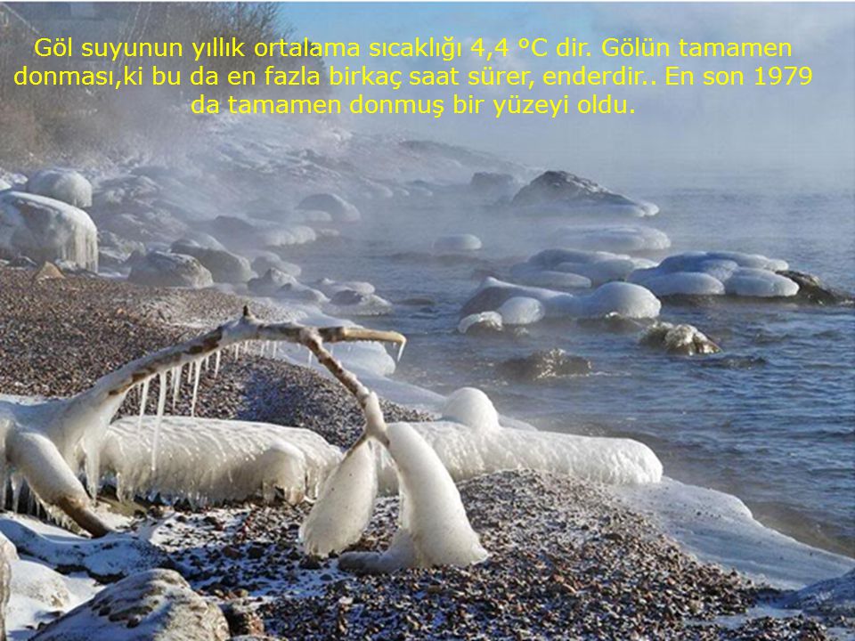 Göl suyunun yıllık ortalama sıcaklığı 4,4 °C dir