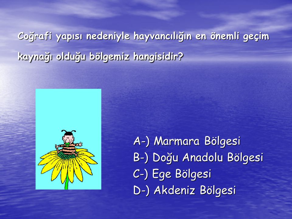 B-) Doğu Anadolu Bölgesi C-) Ege Bölgesi D-) Akdeniz Bölgesi
