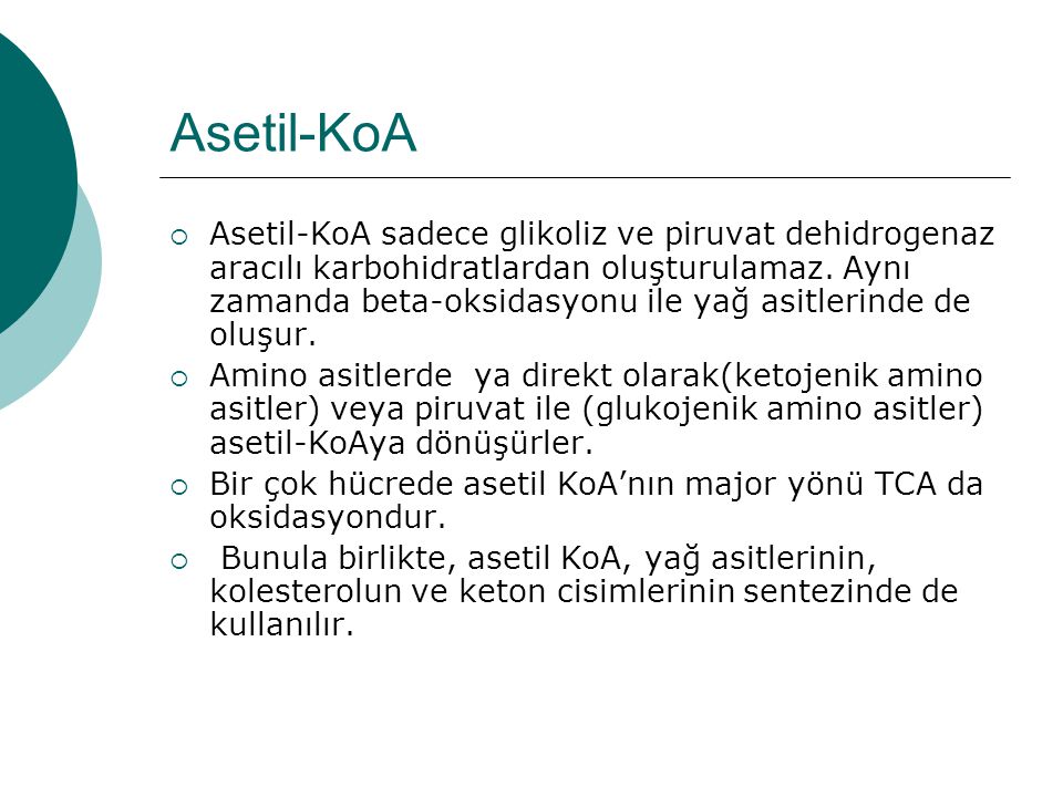 Asetil-KoA