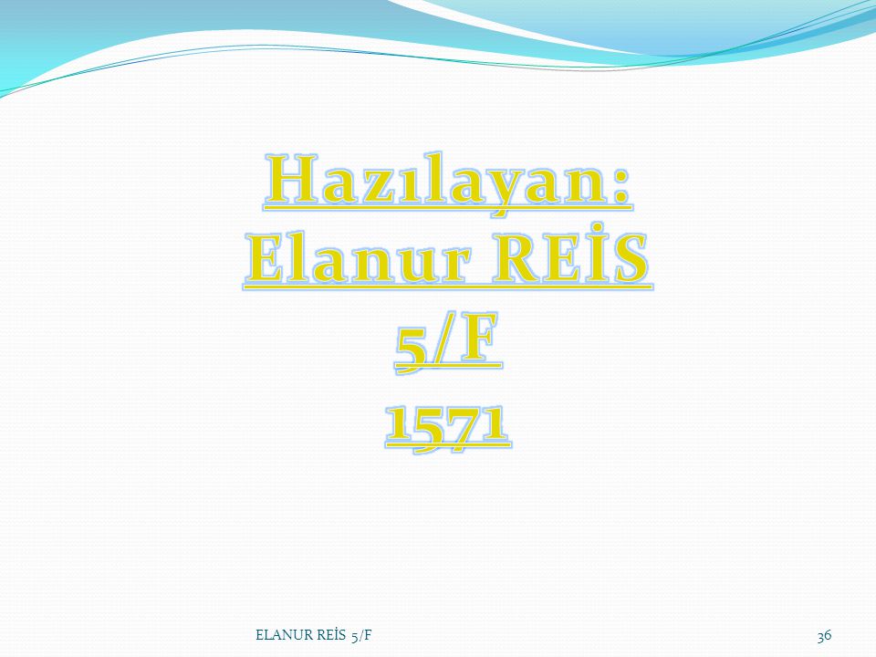 Hazılayan: Elanur REİS 5/F 1571
