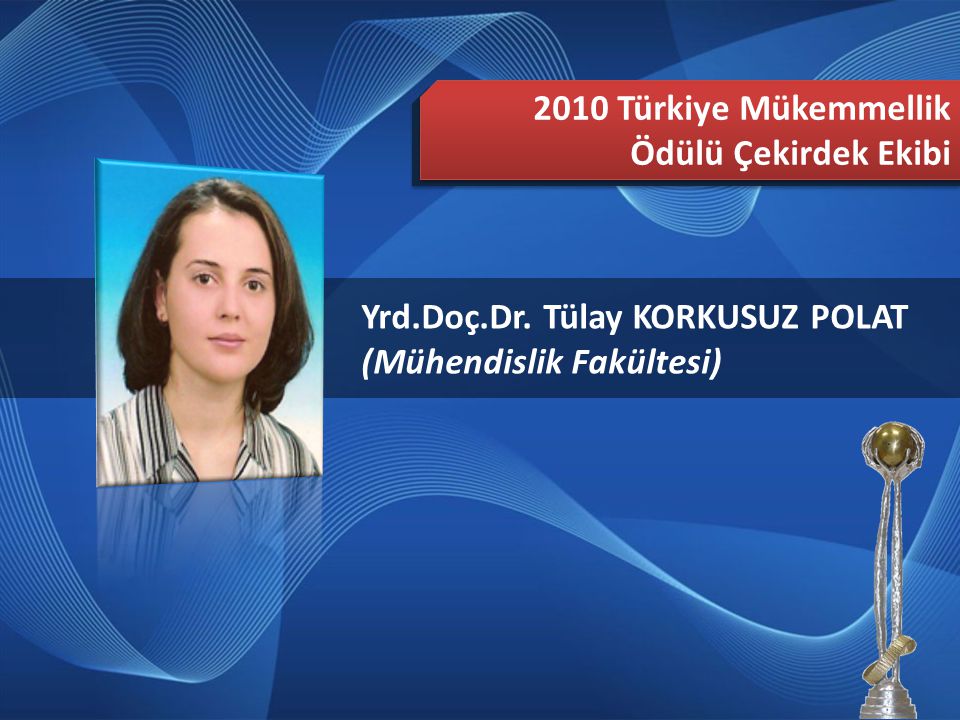 2010 Türkiye Mükemmellik Ödülü Çekirdek Ekibi