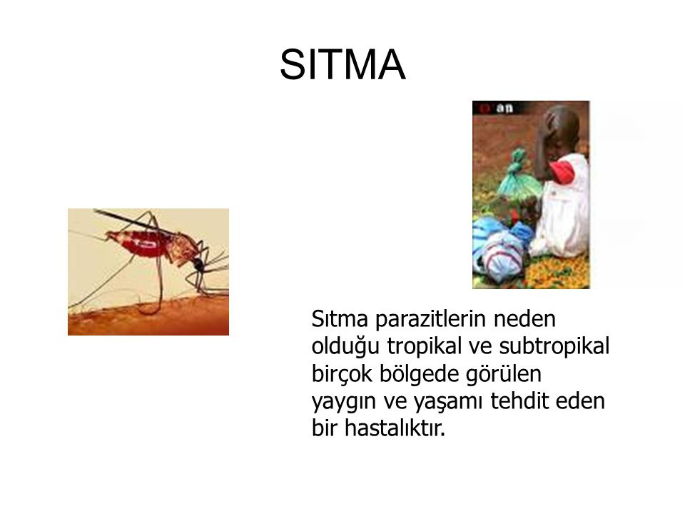 SITMA Sıtma parazitlerin neden olduğu tropikal ve subtropikal birçok bölgede görülen yaygın ve yaşamı tehdit eden bir hastalıktır.