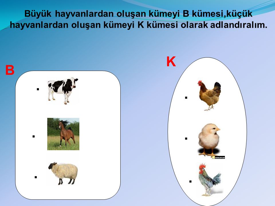 Büyük hayvanlardan oluşan kümeyi B kümesi,küçük hayvanlardan oluşan kümeyi K kümesi olarak adlandıralım.