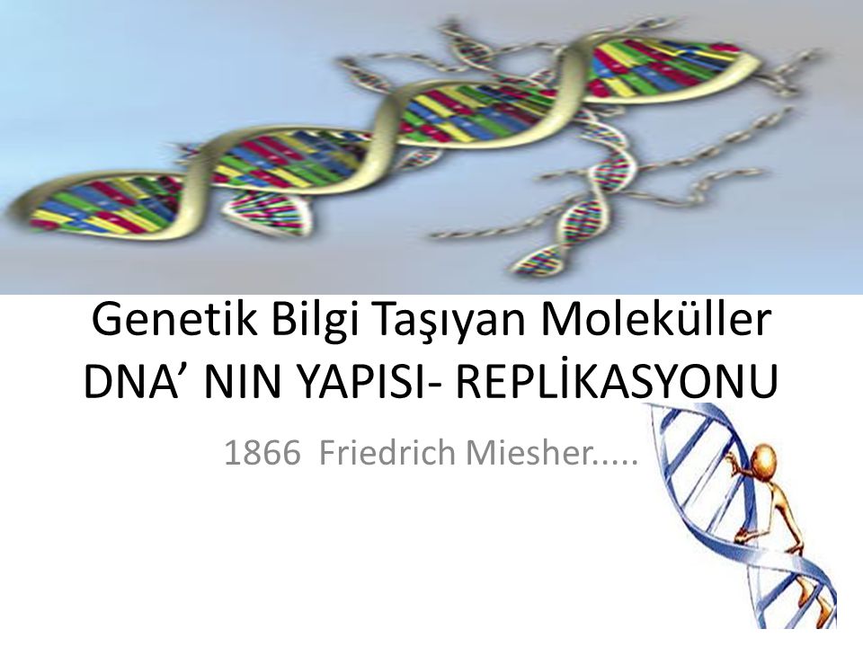 Genetik Bilgi Taşıyan Moleküller DNA’ NIN YAPISI- REPLİKASYONU