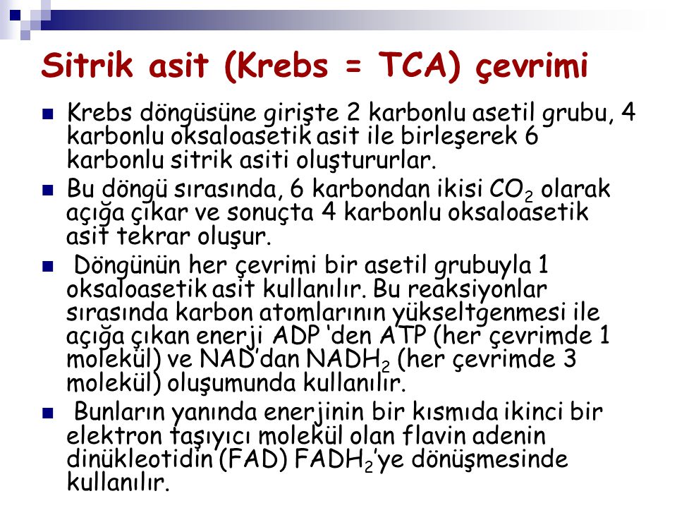 Sitrik asit (Krebs = TCA) çevrimi
