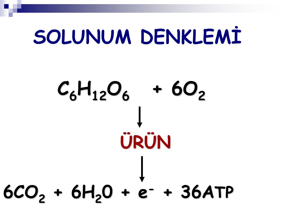 SOLUNUM DENKLEMİ C6H12O6 + 6O2