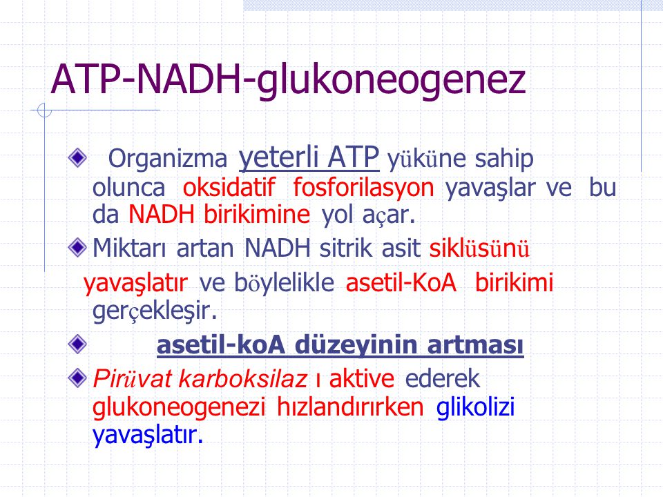 ATP-NADH-glukoneogenez