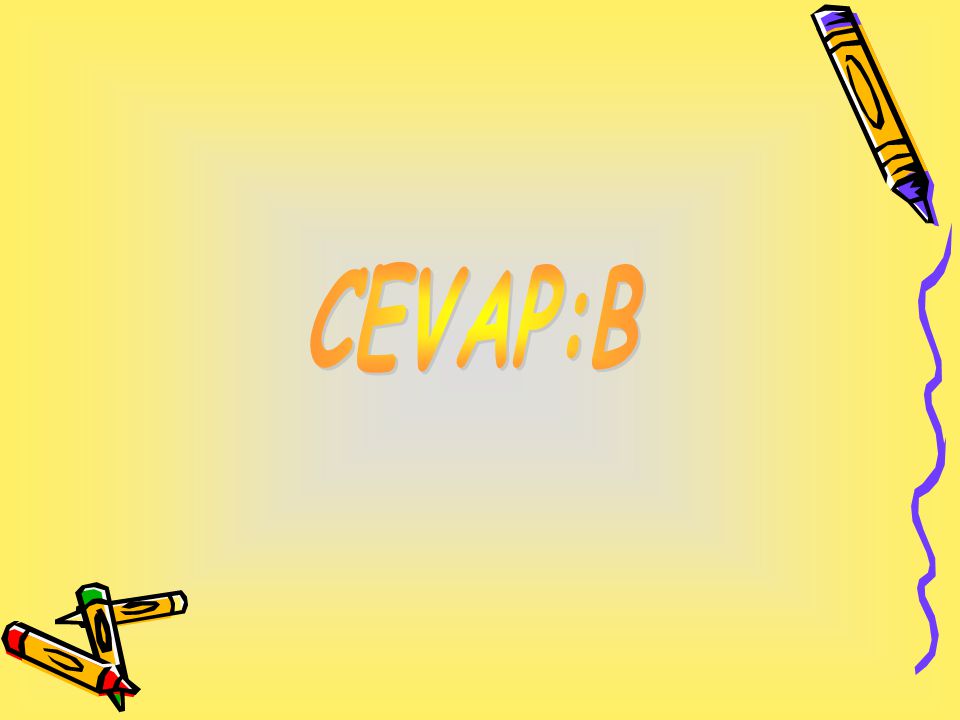 CEVAP:B