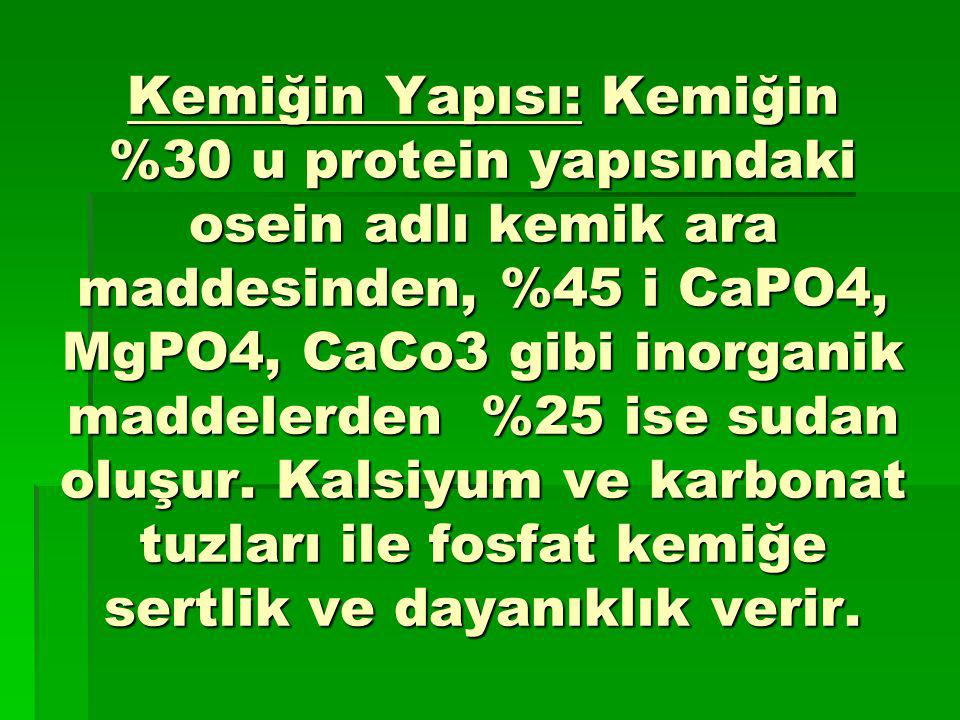 Kemiğin Yapısı: Kemiğin %30 u protein yapısındaki osein adlı kemik ara maddesinden, %45 i CaPO4, MgPO4, CaCo3 gibi inorganik maddelerden %25 ise sudan oluşur.