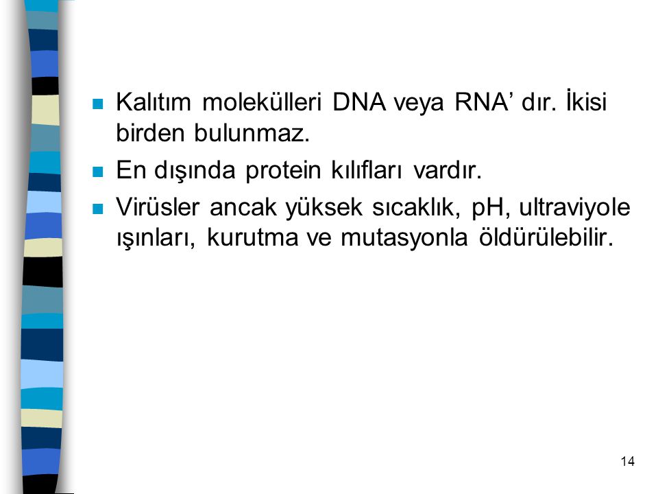 Kalıtım molekülleri DNA veya RNA’ dır. İkisi birden bulunmaz.