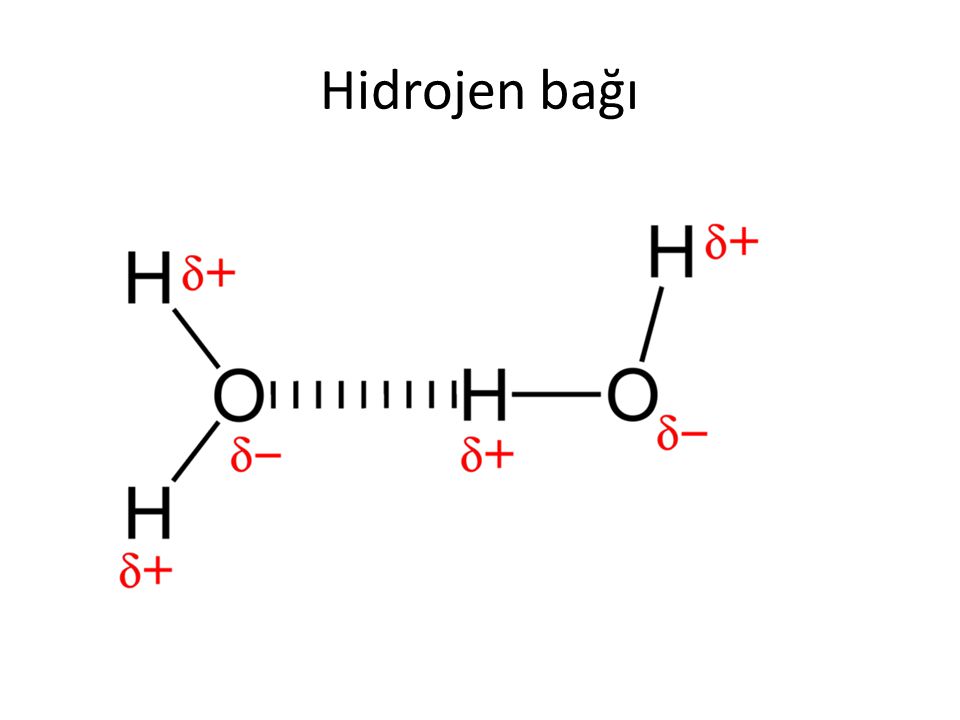 Hidrojen bağı