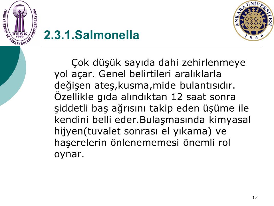 2.3.1.Salmonella
