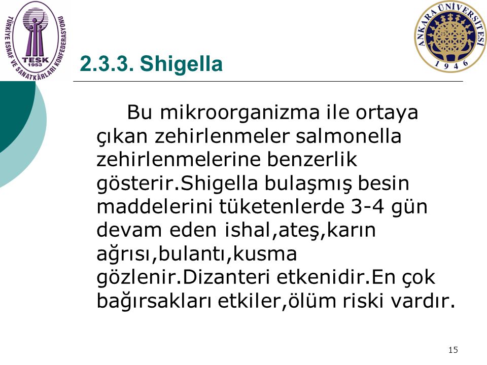Shigella