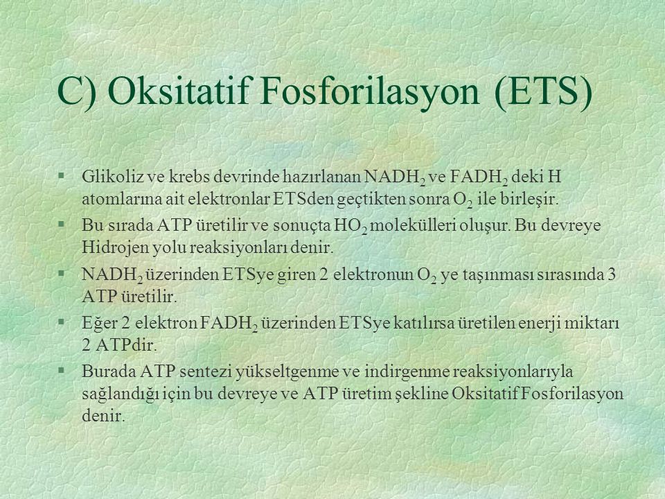 C) Oksitatif Fosforilasyon (ETS)