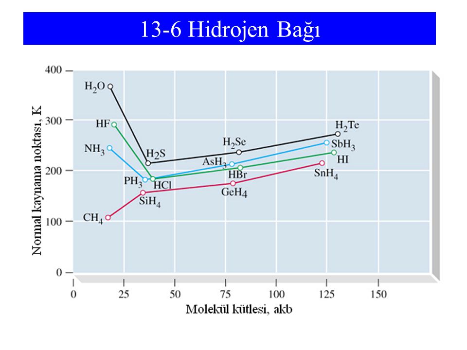 13-6 Hidrojen Bağı