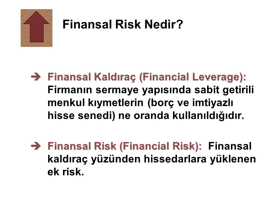 Finansal Risk Nedir