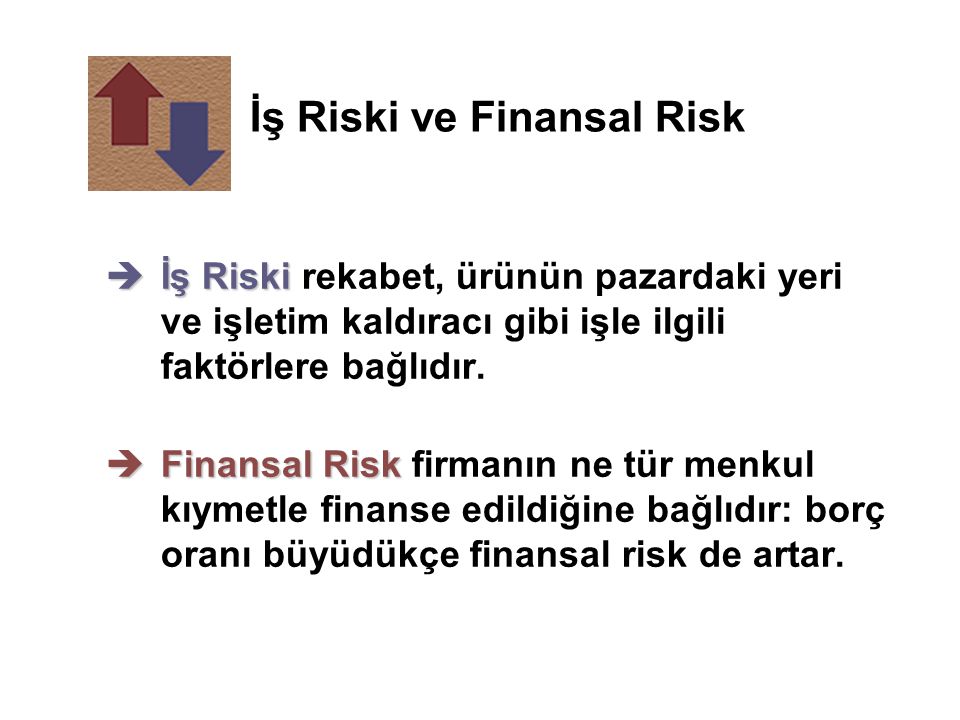 İş Riski ve Finansal Risk
