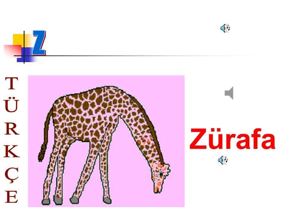 Z Zürafa TÜRKÇE