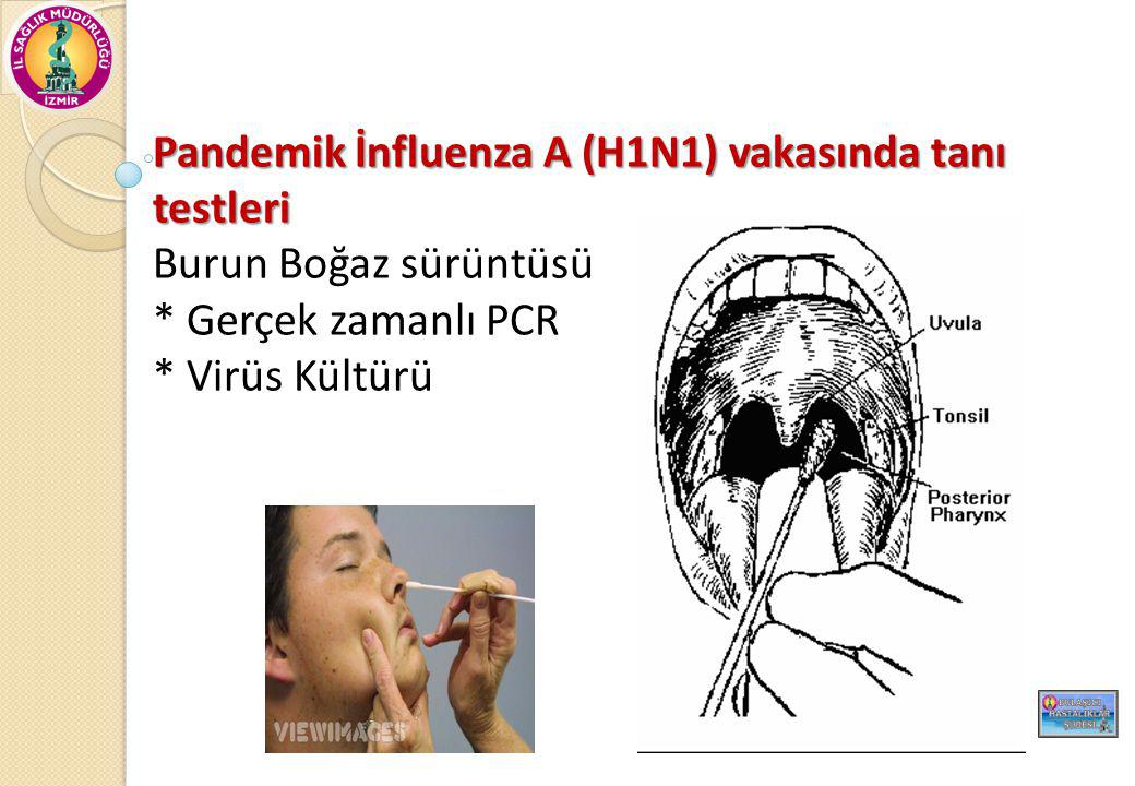 Pandemik İnfluenza A (H1N1) vakasında tanı testleri